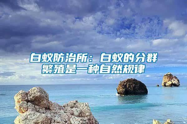 白蚁防治所：白蚁的分群繁殖是一种自然规律