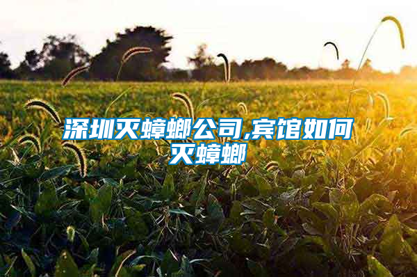 深圳灭蟑螂公司,宾馆如何灭蟑螂