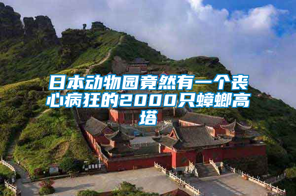 日本动物园竟然有一个丧心病狂的2000只蟑螂高塔