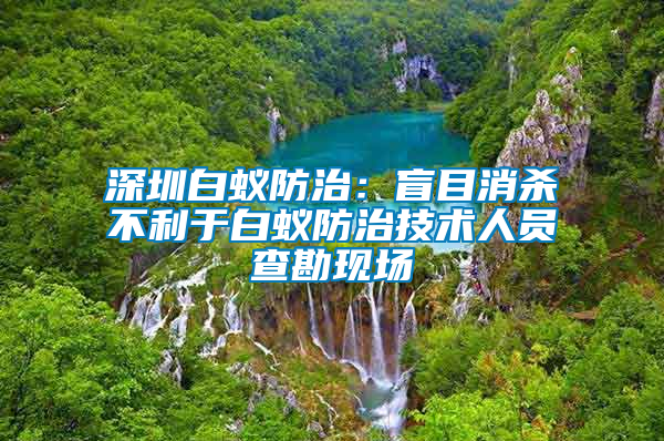 深圳白蚁防治：盲目消杀不利于白蚁防治技术人员查勘现场