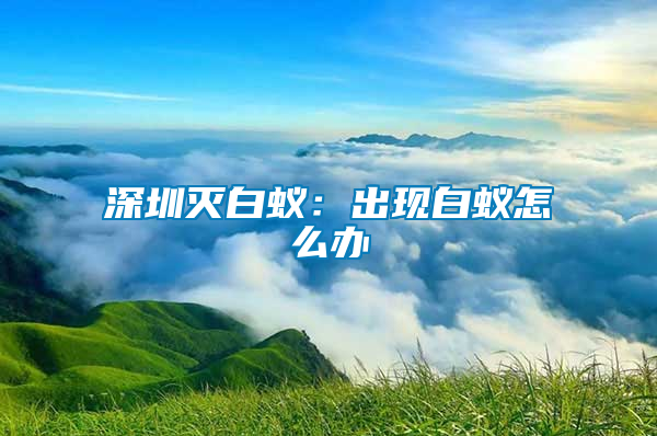 深圳灭白蚁：出现白蚁怎么办