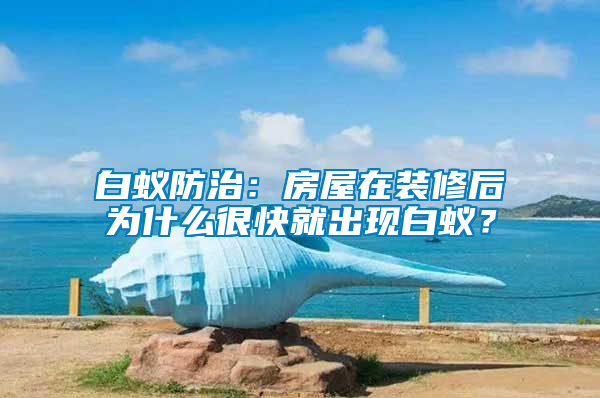 白蚁防治：房屋在装修后为什么很快就出现白蚁？