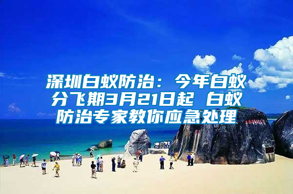 深圳白蚁防治：今年白蚁分飞期3月21日起 白蚁防治专家教你应急处理