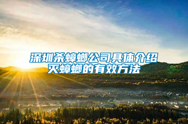 深圳杀蟑螂公司具体介绍灭蟑螂的有效方法