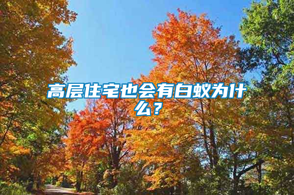 高层住宅也会有白蚁为什么？