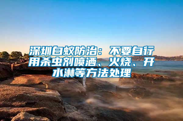 深圳白蚁防治：不要自行用杀虫剂喷洒、火烧、开水淋等方法处理