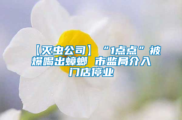 【灭虫公司】“1点点”被爆喝出蟑螂 市监局介入门店停业