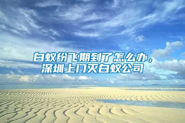 白蚁纷飞期到了怎么办，深圳上门灭白蚁公司