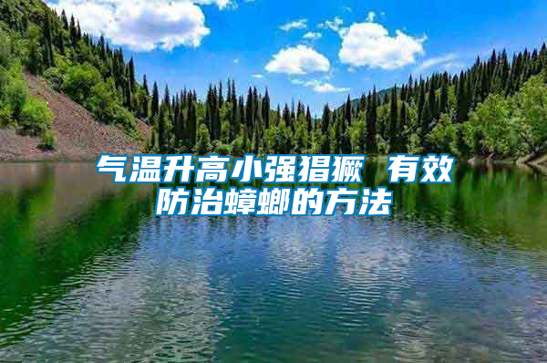 气温升高小强猖獗 有效防治蟑螂的方法