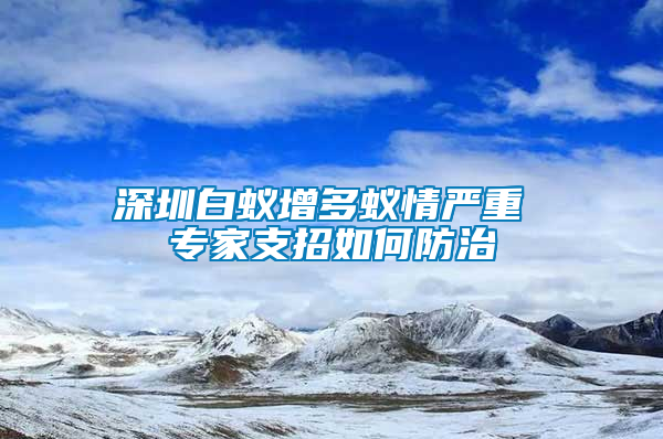 深圳白蚁增多蚁情严重 专家支招如何防治