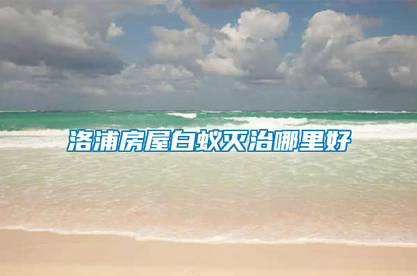 洛浦房屋白蚁灭治哪里好