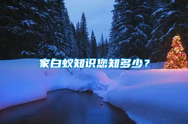 家白蚁知识您知多少？