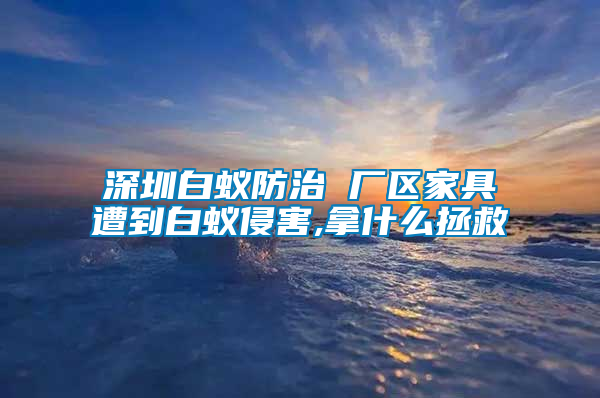 深圳白蚁防治 厂区家具遭到白蚁侵害,拿什么拯救