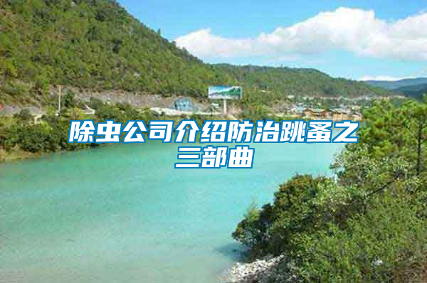 除虫公司介绍防治跳蚤之三部曲