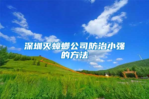 深圳灭蟑螂公司防治小强的方法