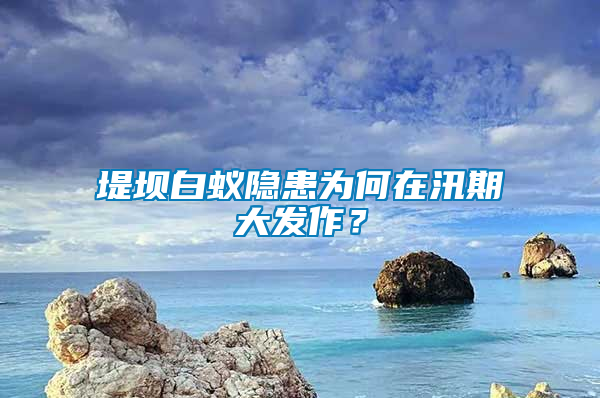 堤坝白蚁隐患为何在汛期大发作？