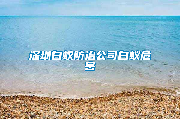 深圳白蚁防治公司白蚁危害