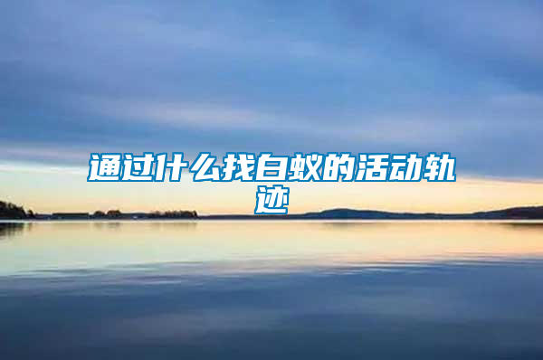 通过什么找白蚁的活动轨迹