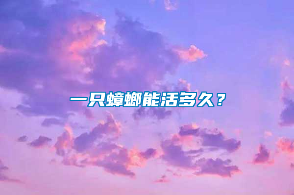 一只蟑螂能活多久？