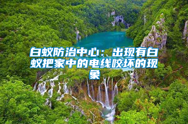 白蚁防治中心：出现有白蚁把家中的电线咬坏的现象