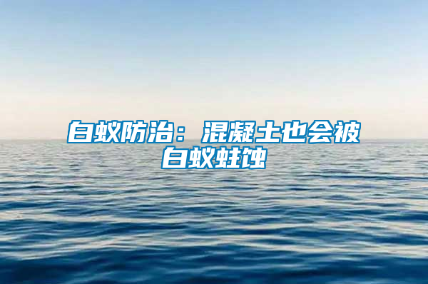 白蚁防治：混凝土也会被白蚁蛀蚀