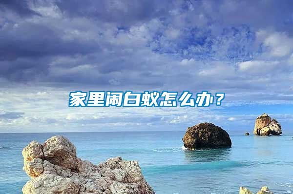 家里闹白蚁怎么办？