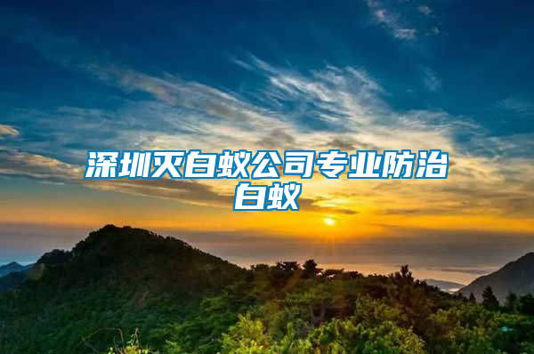 深圳灭白蚁公司专业防治白蚁