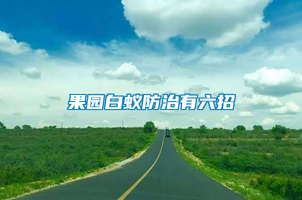 果园白蚁防治有六招