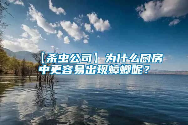 【杀虫公司】为什么厨房中更容易出现蟑螂呢？