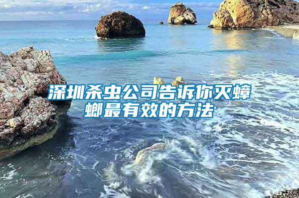 深圳杀虫公司告诉你灭蟑螂最有效的方法