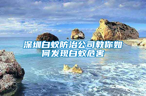 深圳白蚁防治公司教你如何发现白蚁危害