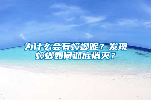 为什么会有蟑螂呢？发现蟑螂如何彻底消灭？