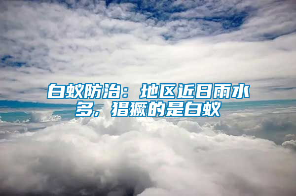 白蚁防治：地区近日雨水多, 猖獗的是白蚁