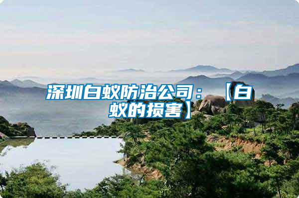 深圳白蚁防治公司：【白蚁的损害】