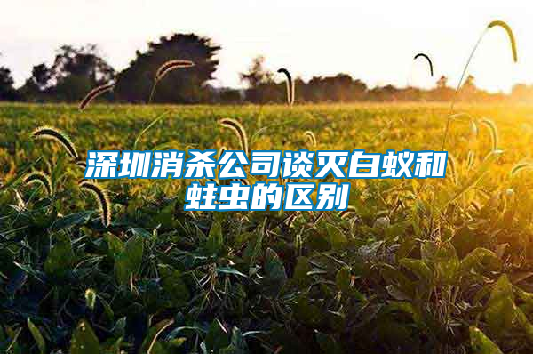 深圳消杀公司谈灭白蚁和蛀虫的区别