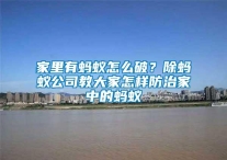 家里有蚂蚁怎么破？除蚂蚁公司教大家怎样防治家中的蚂蚁